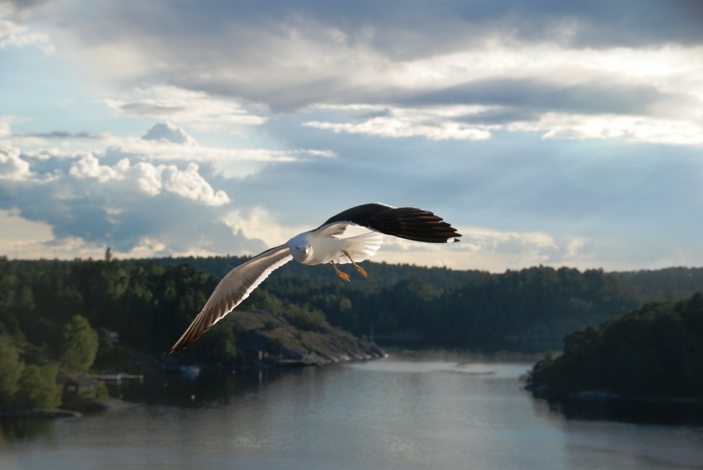 Foto de Mar Báltico, Rusia