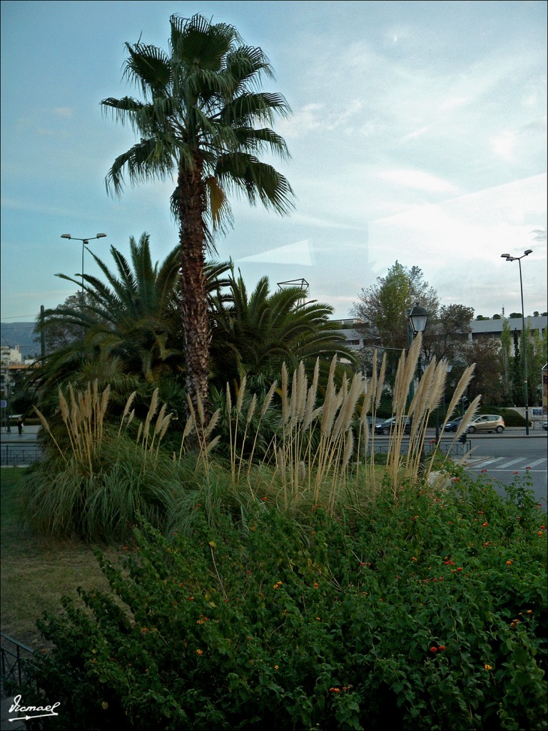 Foto: 111004-108 ATENAS - Atenas, Grecia