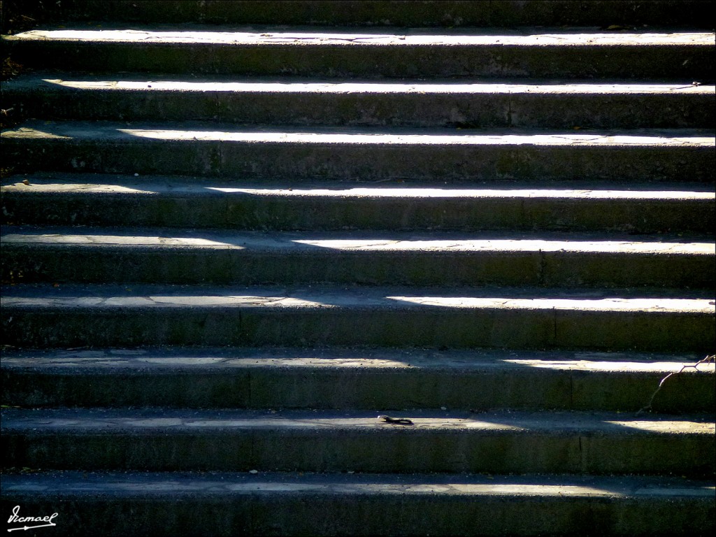 Foto: 111012-03 PARQUE ZARAGOZA - Zaragoza (Aragón), España