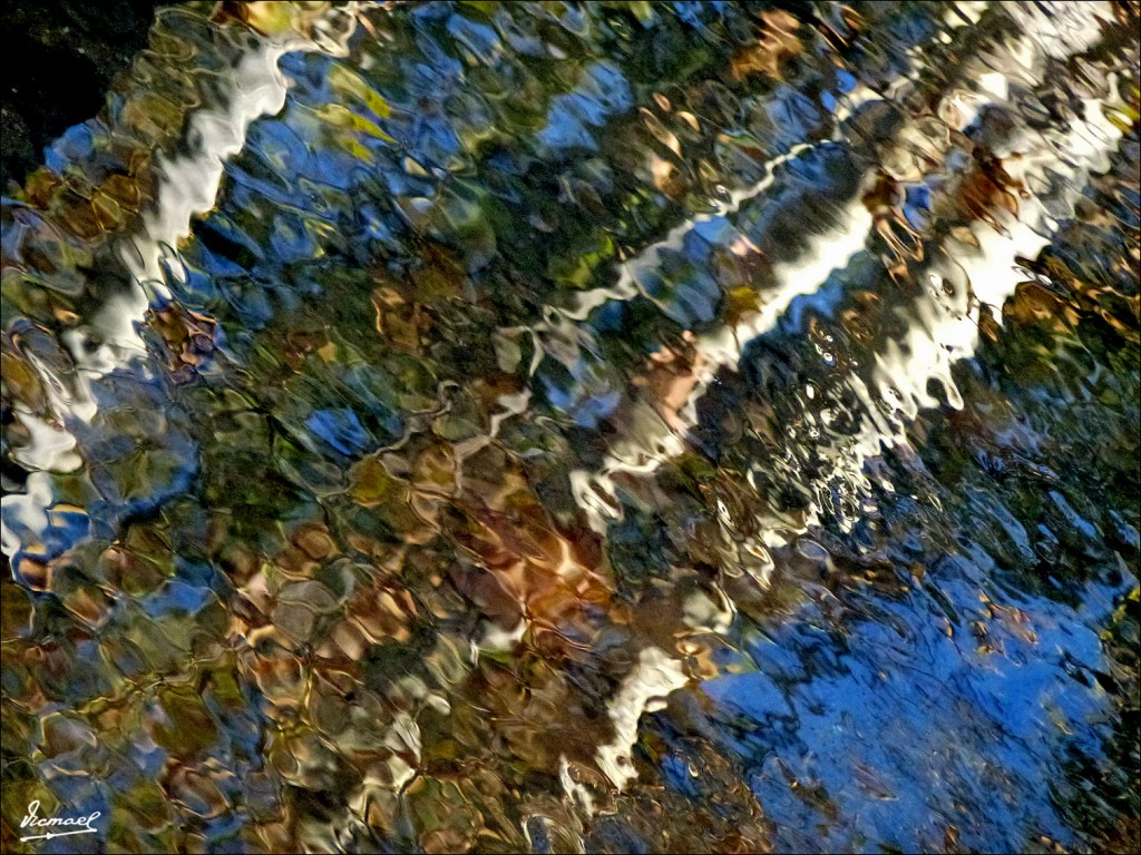 Foto: 111012-11 PARQUE ZARAGOZA - Zaragoza (Aragón), España