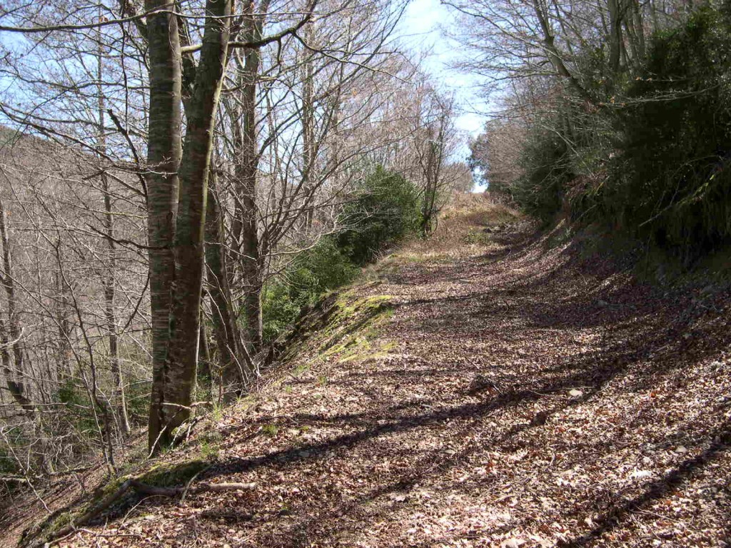 Foto de Montseny (El Brull) (Zamora), España