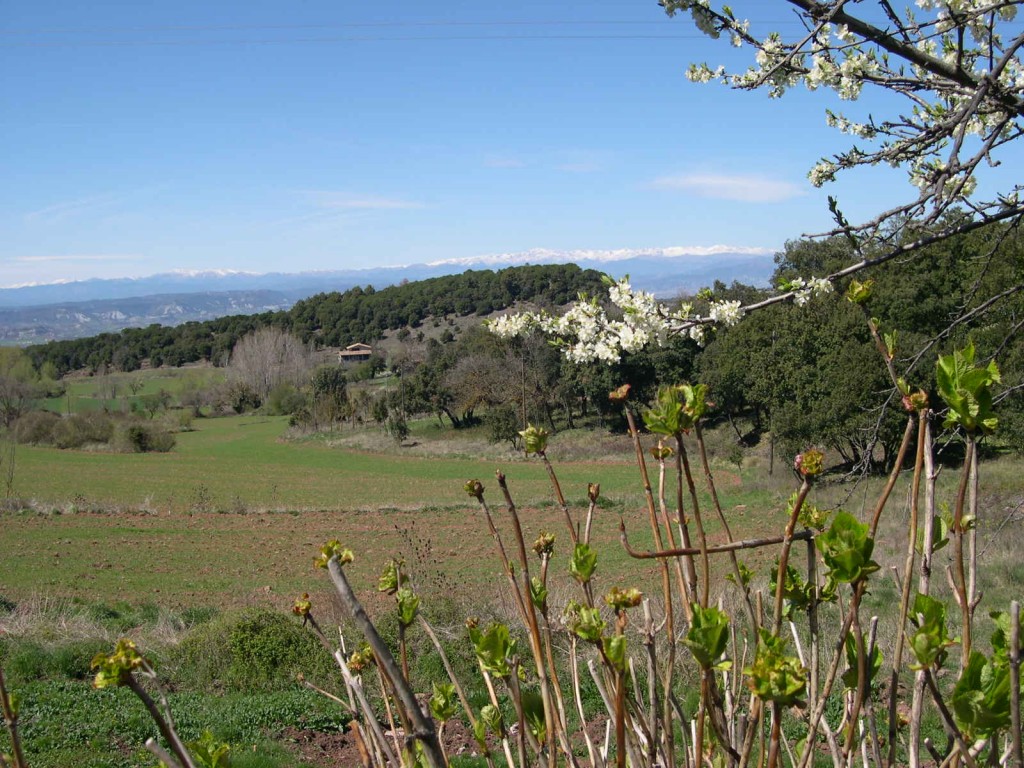 Foto de Montseny (El Brull) (Zamora), España