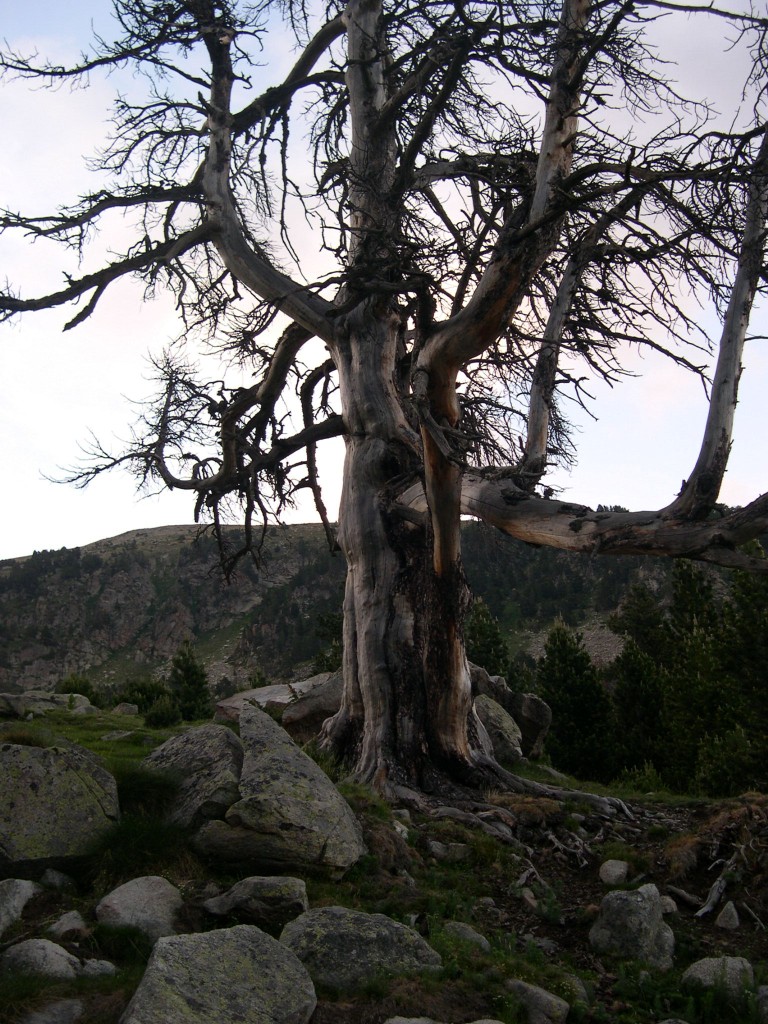 Foto de Lles de Cerdanya (Girona), España