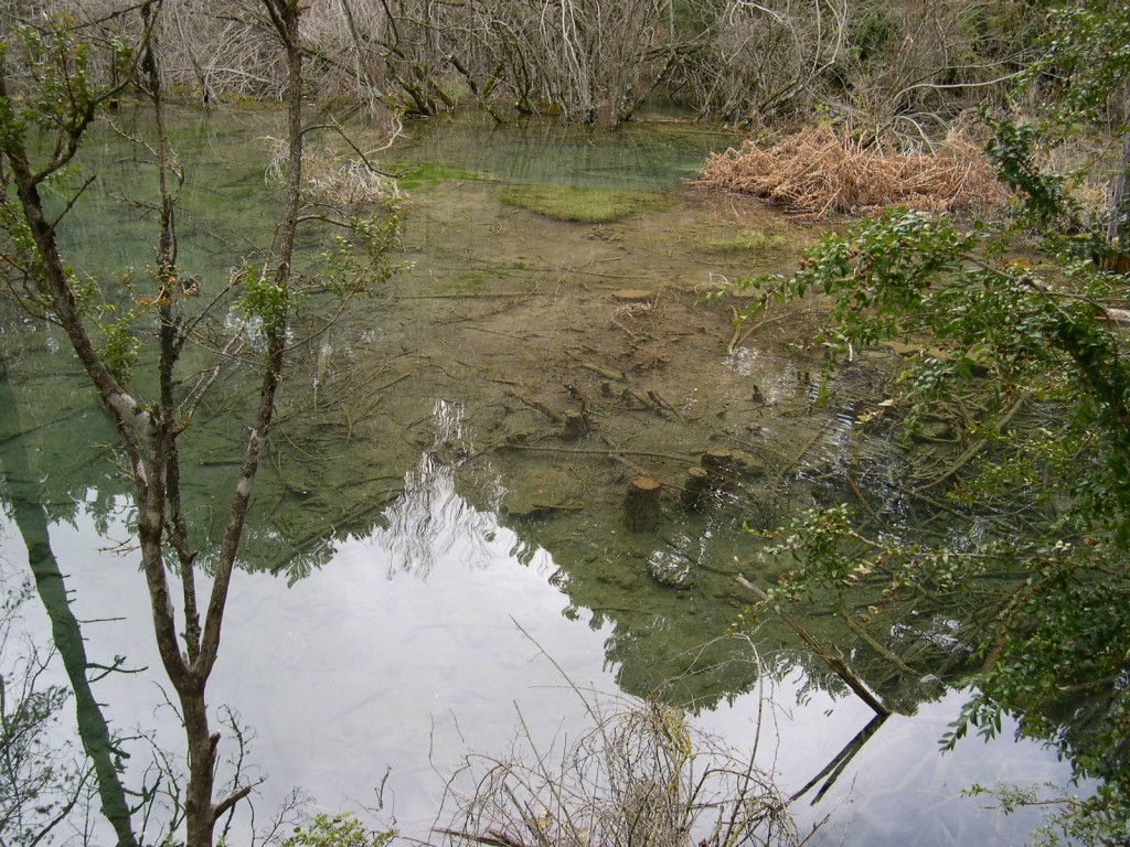 Foto de Cuenca (Rio Cuervo) (Cuenca), España
