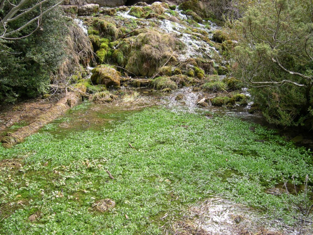 Foto de Cuenca (Rio Cuervo) (Cuenca), España