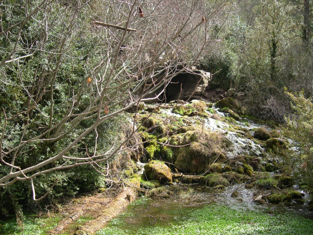 Foto de Cuenca (Rio Cuervo) (Cuenca), España