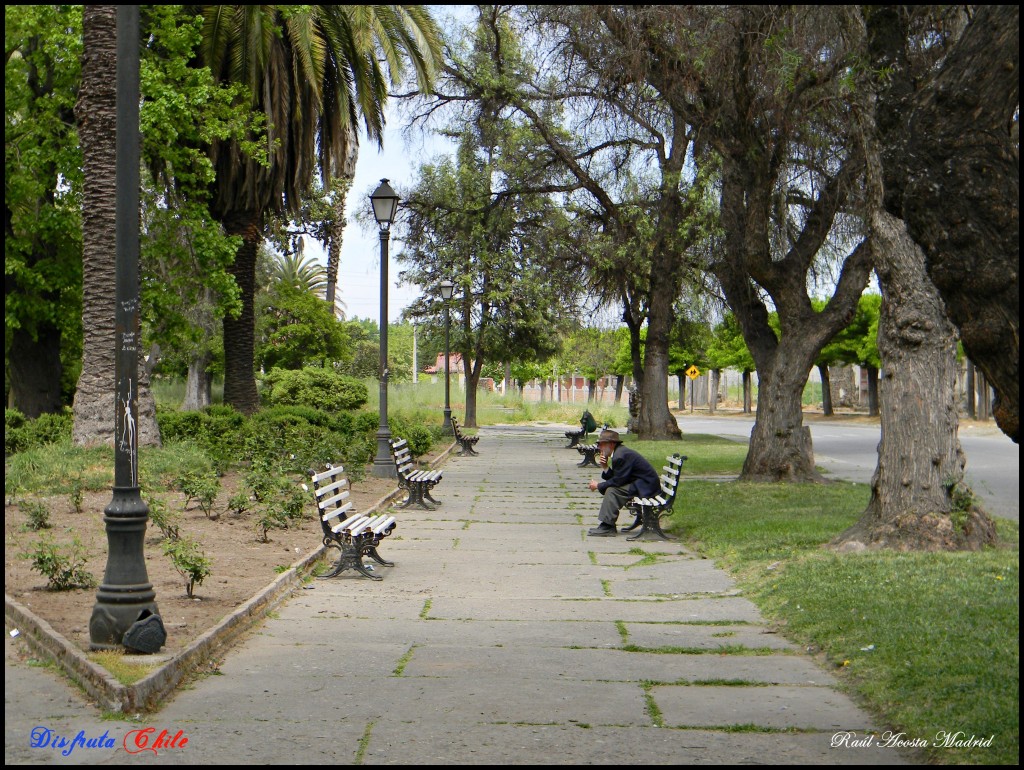 Foto de Coltauco, Chile