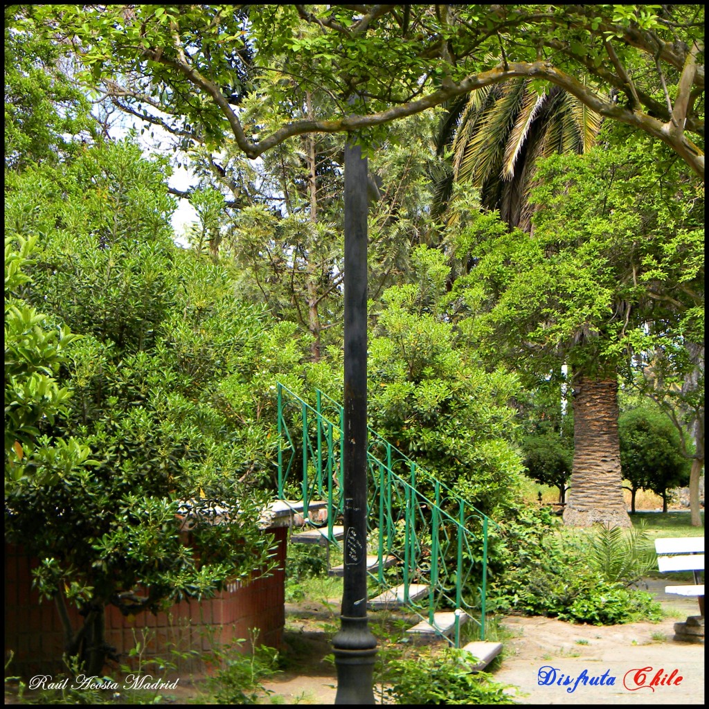 Foto de Coltauco (Libertador General Bernardo OʼHiggins), Chile