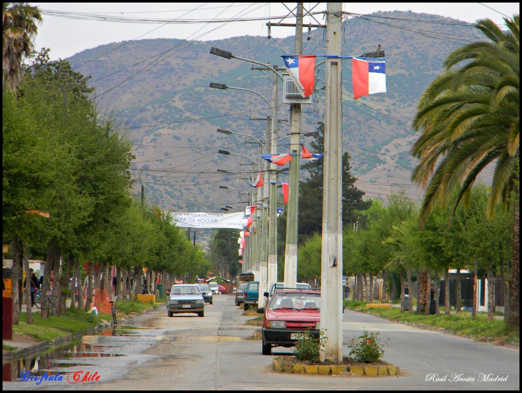 Foto de Coltauco (Libertador General Bernardo OʼHiggins), Chile