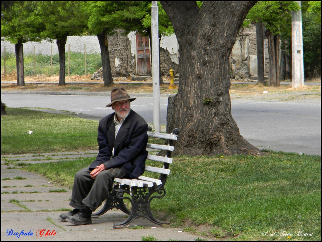Foto de Coltauco (Libertador General Bernardo OʼHiggins), Chile
