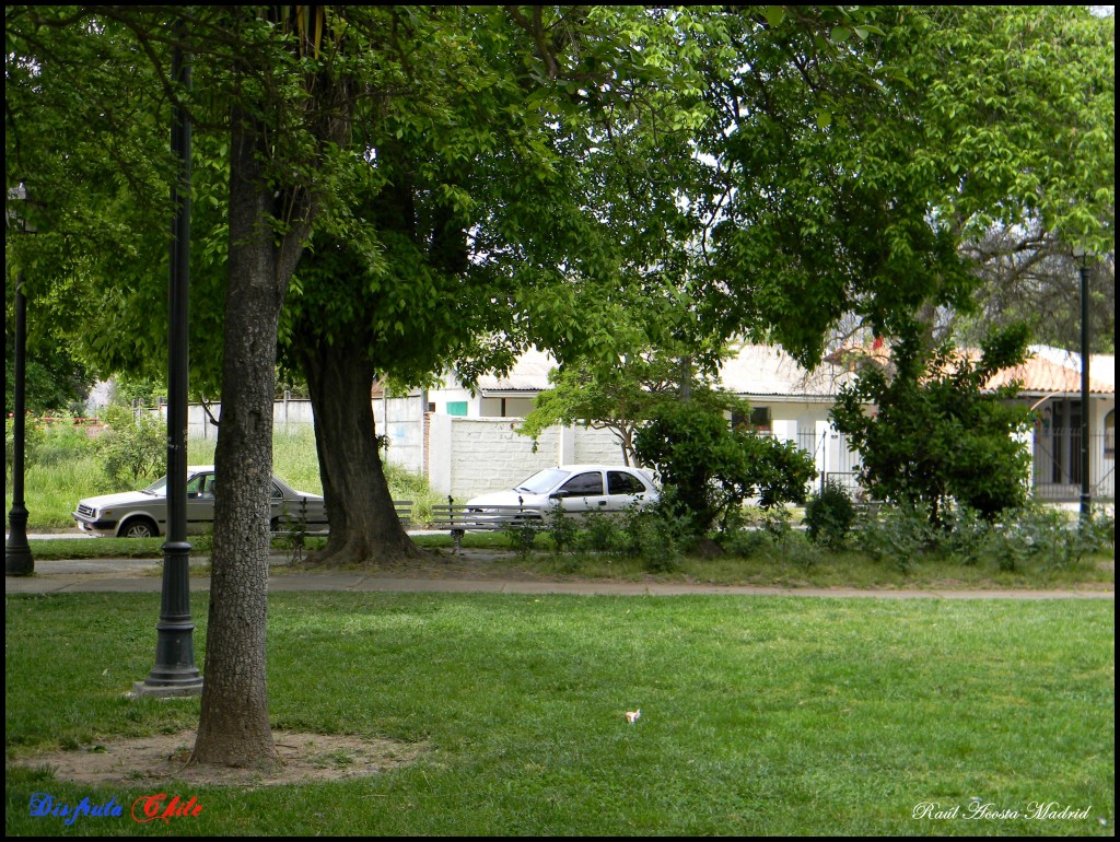 Foto de Coltauco (Libertador General Bernardo OʼHiggins), Chile
