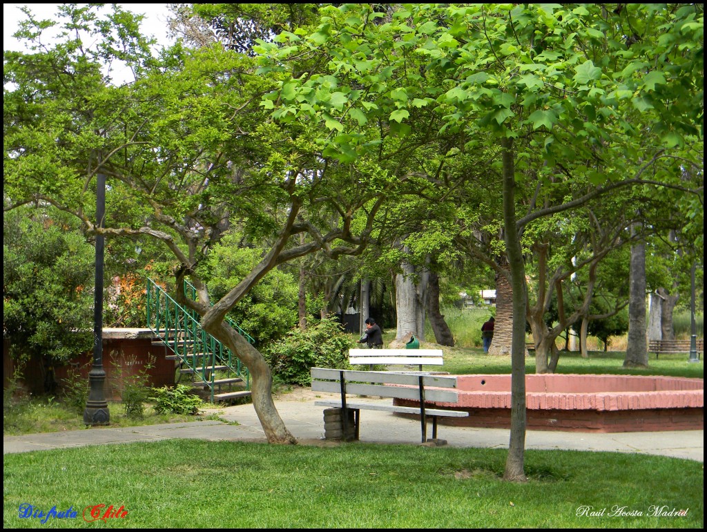 Foto de Coltauco (Libertador General Bernardo OʼHiggins), Chile