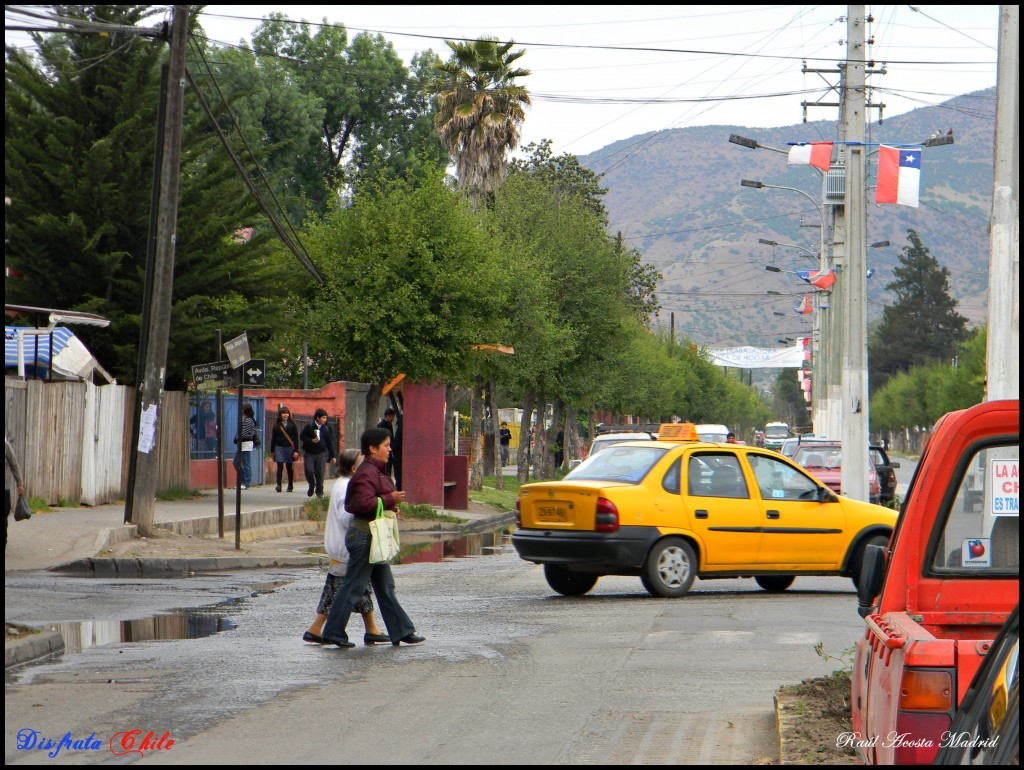 Foto de Coltauco (Libertador General Bernardo OʼHiggins), Chile