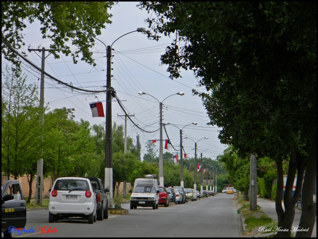 Foto de Coltauco (Libertador General Bernardo OʼHiggins), Chile