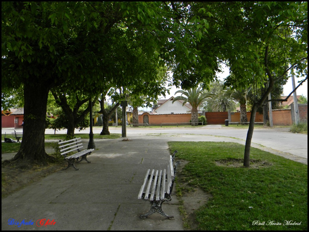 Foto de Coltauco (Libertador General Bernardo OʼHiggins), Chile