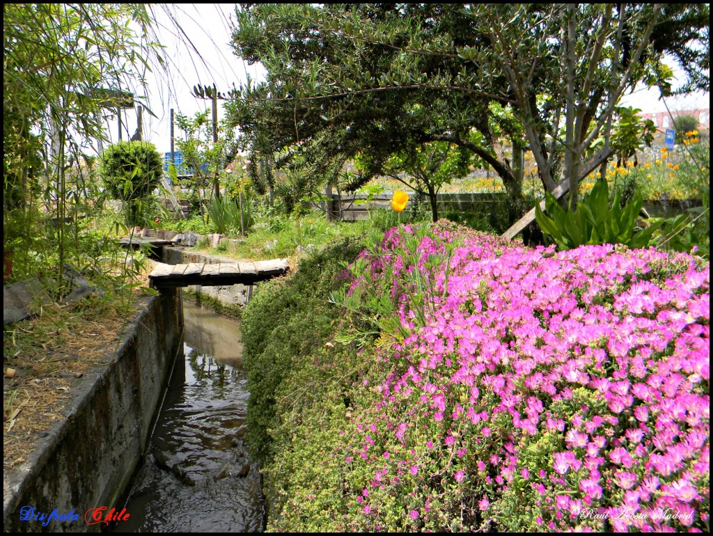 Foto de Lo Miranda (Libertador General Bernardo OʼHiggins), Chile