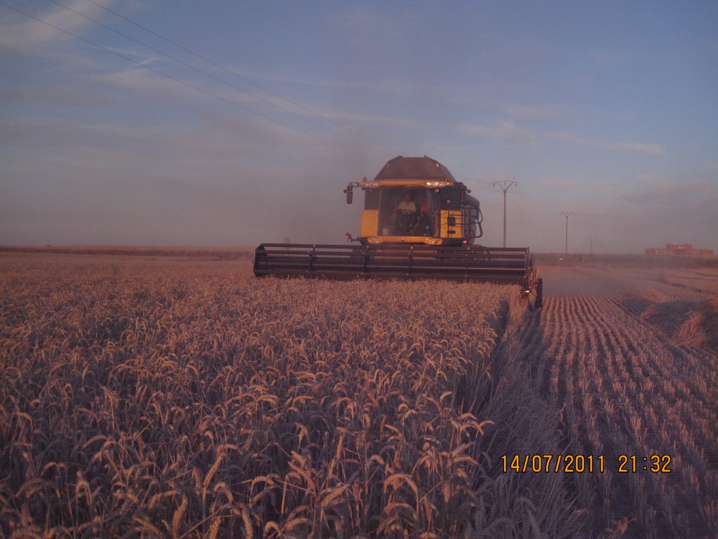 Foto: Cosecha deL cereal - Villarrin de Campos (Zamora), España