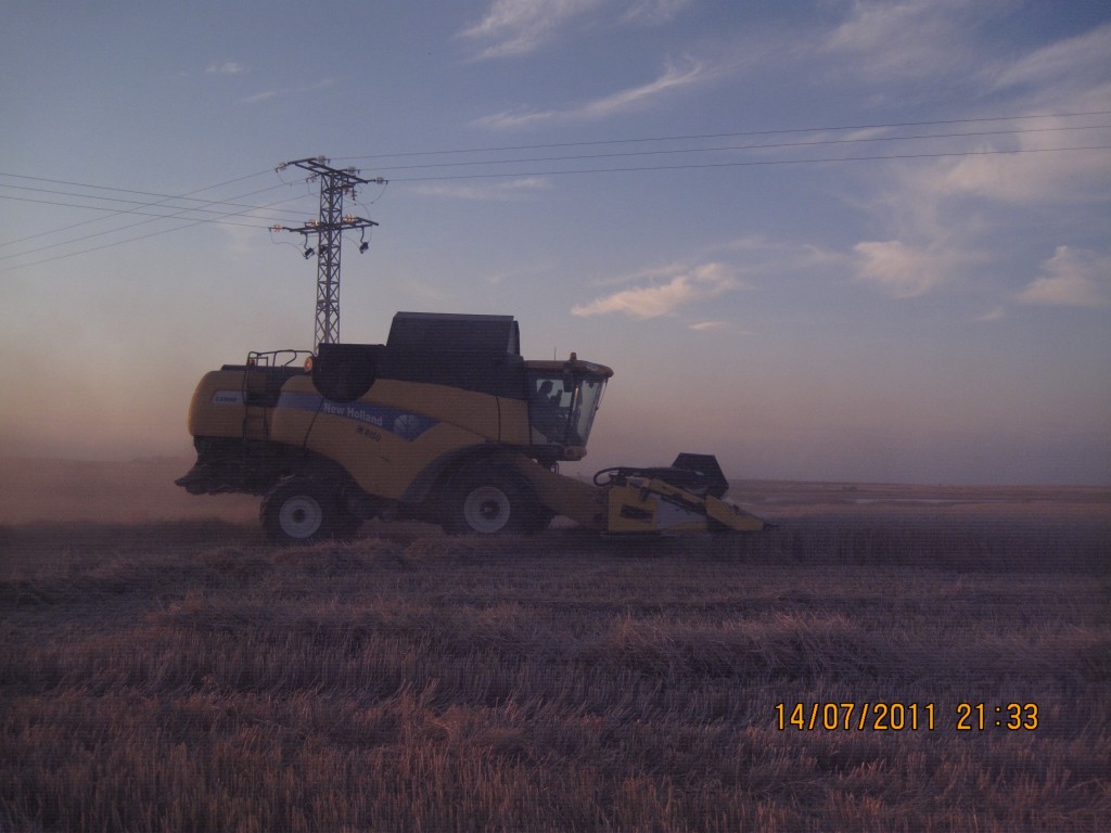 Foto: La cosecha - Villarrin de Campos (Zamora), España