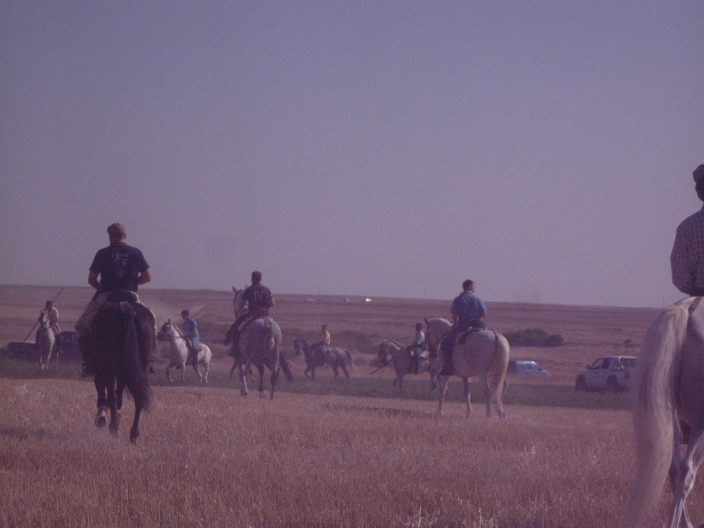 Foto: Encierre campestre (24/9/2011 - Villarrin de Campos (Zamora), España
