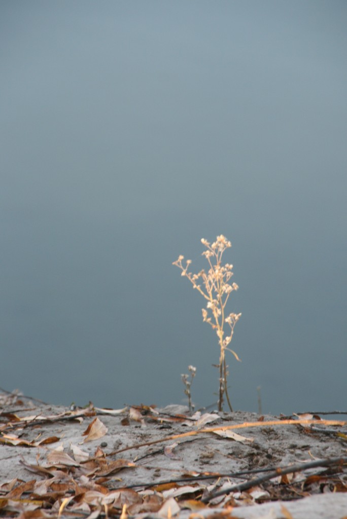 Foto de General Conesa (Buenos Aires), Argentina