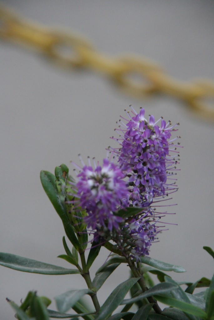 Foto de General Conesa (Buenos Aires), Argentina