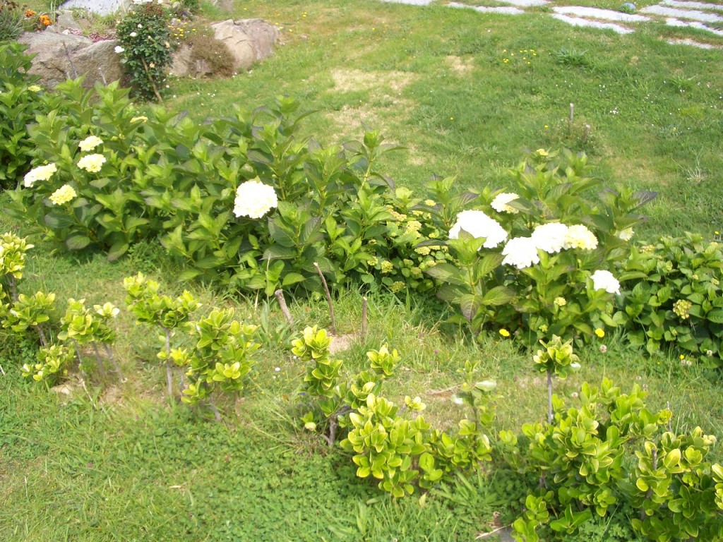 Foto de Bares (A Coruña), España