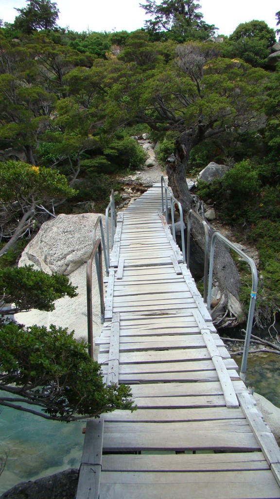 Foto de Torres del Paine (Magallanes y Antártica Chilena), Chile