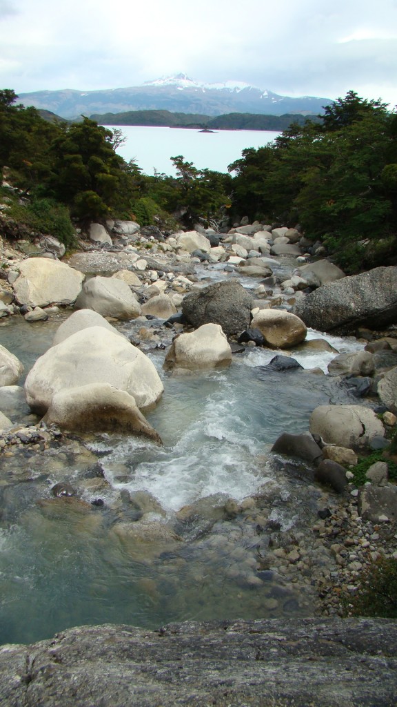Foto de Torres del Paine (Magallanes y Antártica Chilena), Chile