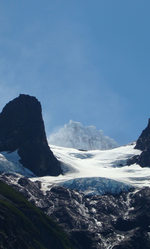 Foto de Torres del Paine (Magallanes y Antártica Chilena), Chile