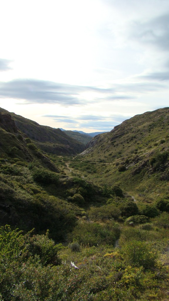 Foto de Torres del Paine (Magallanes y Antártica Chilena), Chile