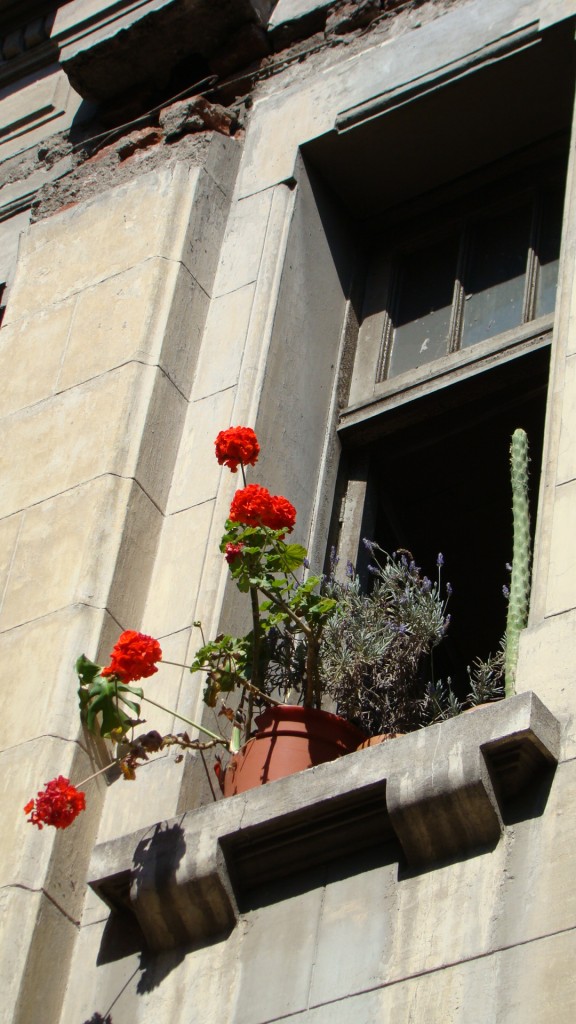 Foto de Santiago (Región Metropolitana), Chile