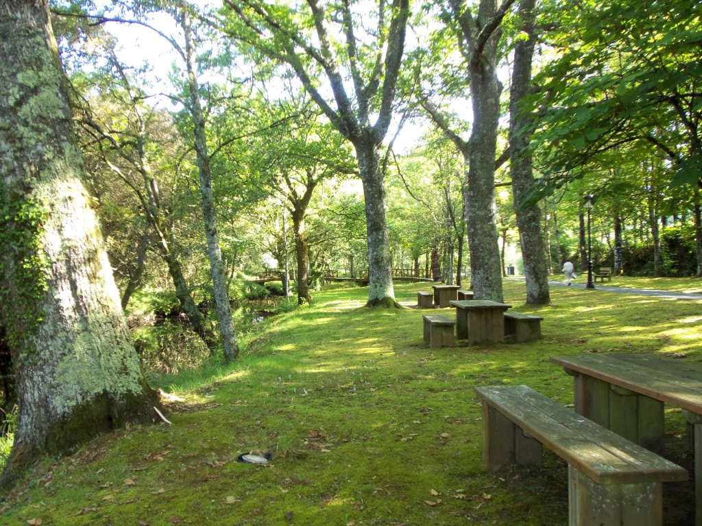 Foto: Area Recreativa de Villalba - Villalba (Lugo), España