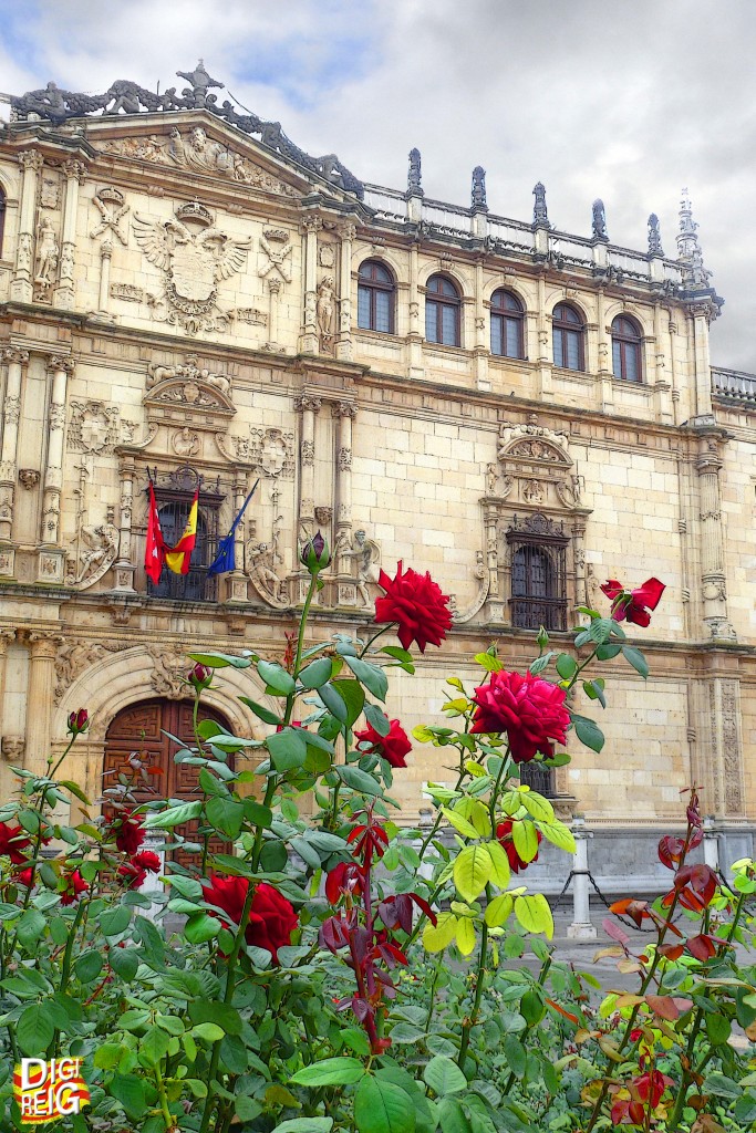 Foto: Universidad de Alcalá - Alcalá de Henares (Madrid), España