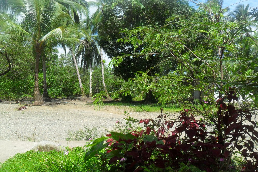 Foto de El Pixvae (Veraguas), Panamá