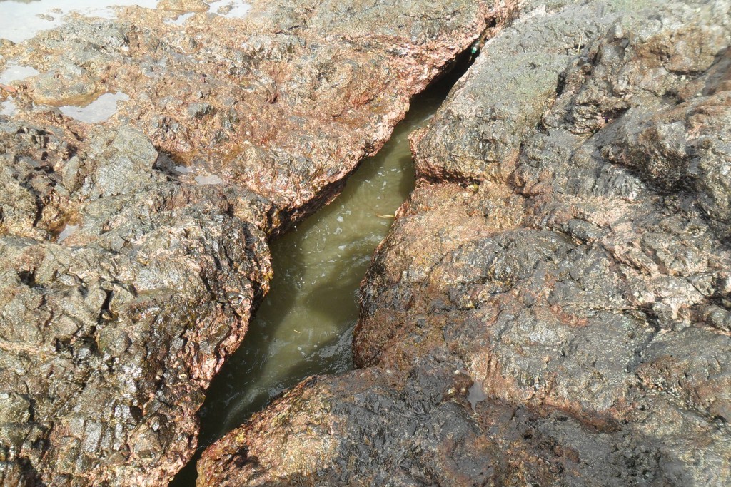 Foto de El Pixvae (Veraguas), Panamá