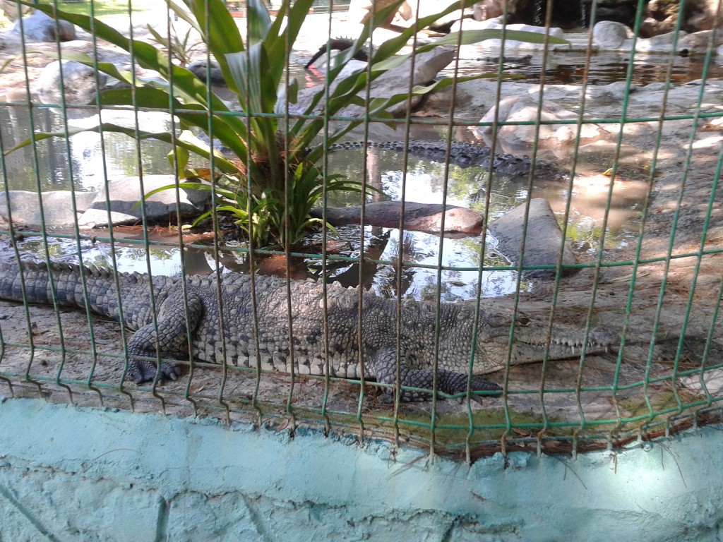 Foto: Acuario - Mazatlan (Sinaloa), México