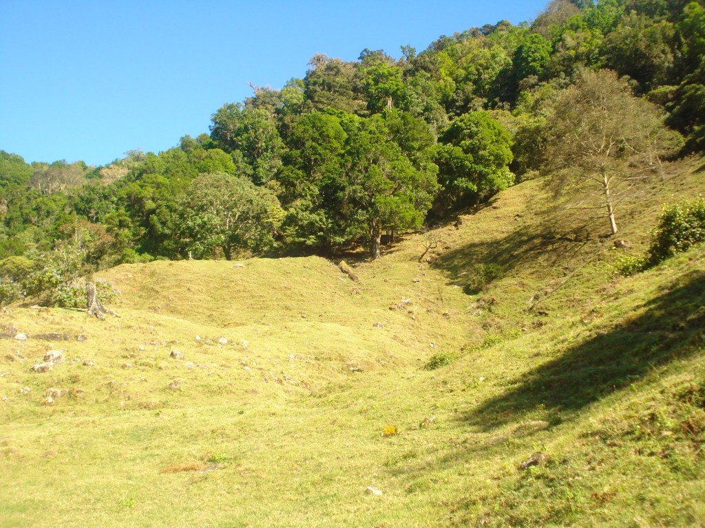 Foto: Copey de Dota - Dota (San José), Costa Rica