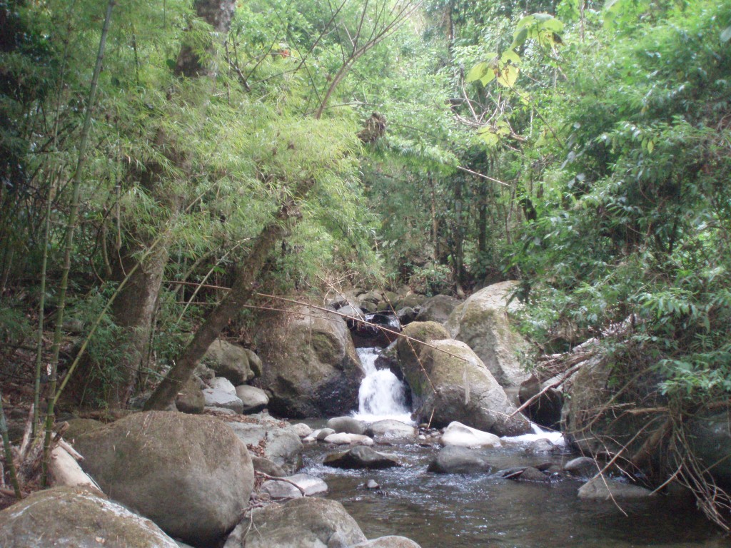 Foto: Copey de Dota - Copey de Dota (San José), Costa Rica