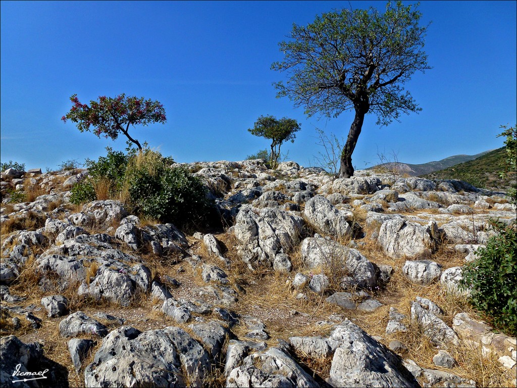 Foto: 110929-67 MICENAS - Micenas, Grecia