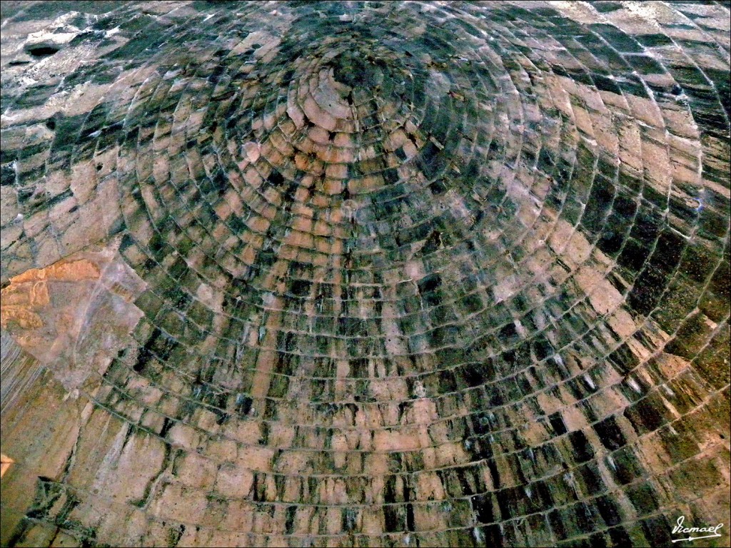 Foto: 110929-87 MICENAS - Micenas, Grecia