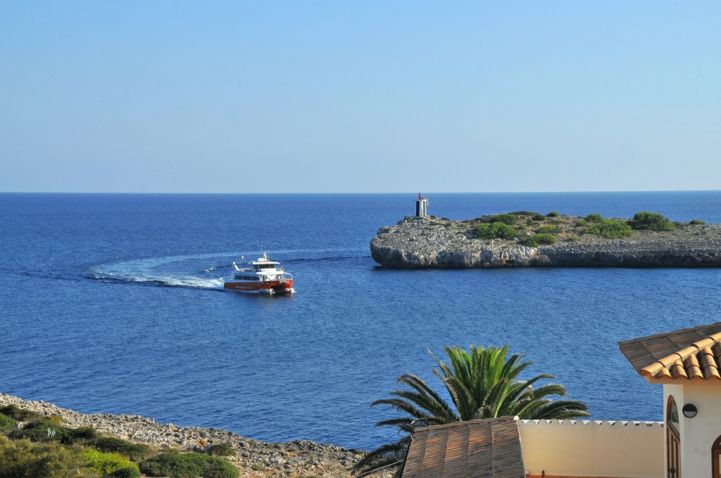 Foto: Golondrinas - Porto Cristo (Mallorca) (Illes Balears), España