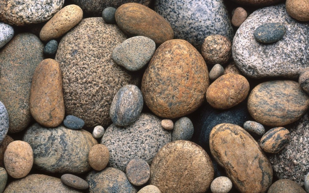 Foto: Chinos Españoles - Cariño (A Coruña), España