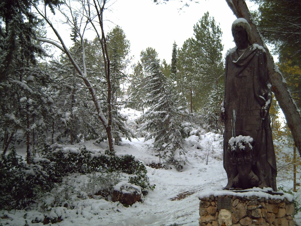 Foto: Templanza - Morata De Tajuña (Madrid), España