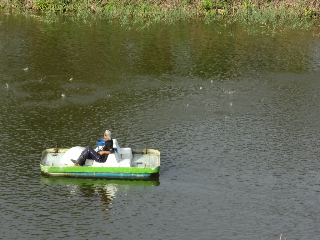 Foto: Piscina - Shell (Pastaza), Ecuador