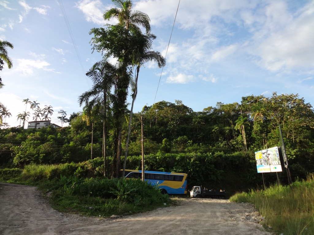 Foto: Entrada a la casa del árbol. - Shell (Pastaza), Ecuador