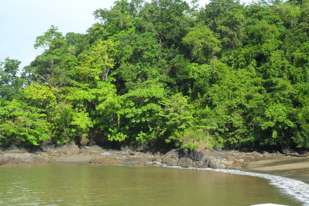 Foto de El Pixvae (Veraguas), Panamá