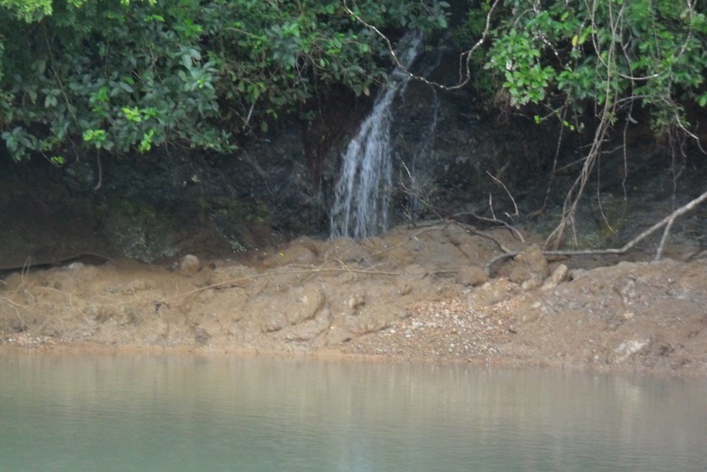 Foto de El Pixvae (Veraguas), Panamá
