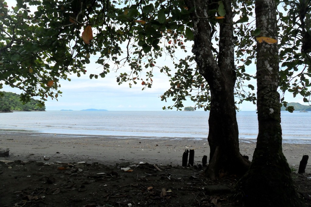 Foto de El Pixvae (Veraguas), Panamá