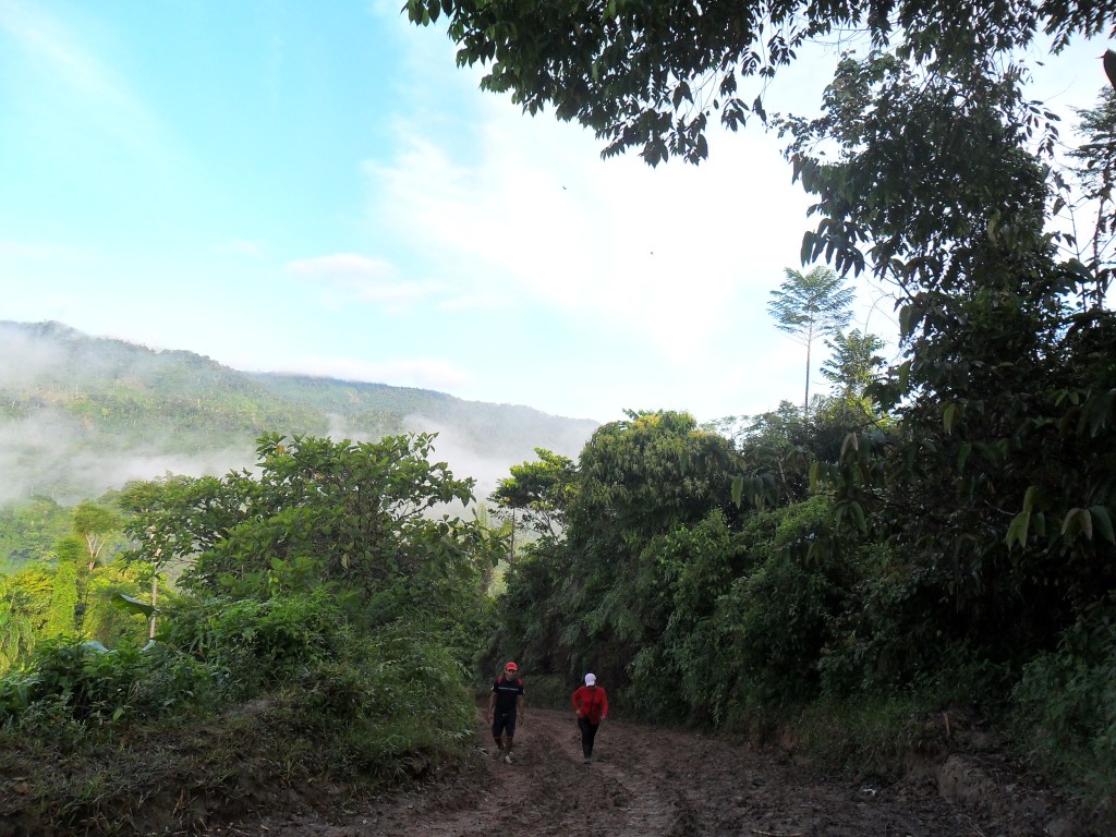 Foto de Rio Luis (Veraguas), Panamá