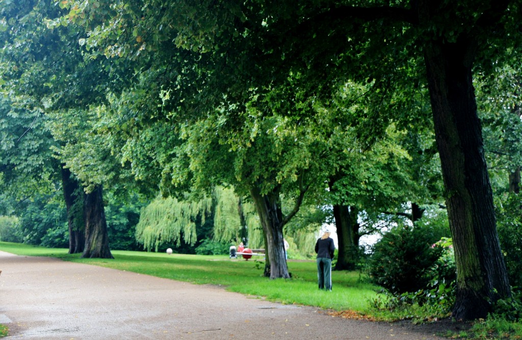 Foto: Parque - Hamburg (Hamburg City), Alemania